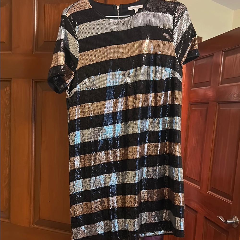 Charlotte Russe Striped Sequin Dress